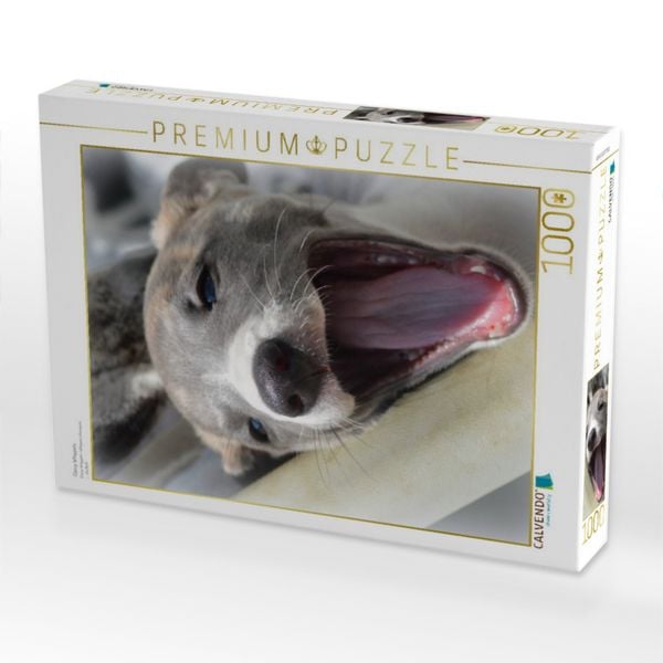 Produktbild: CALVENDO Puzzle Classy Whippets | 1000 Teile Lege-Gr&ouml;&szlig;e 64x48cm Foto-Puzzle f&uuml;r gl&uuml;ckliche Stunden