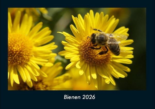 Produktbild: Bienen 2026 Fotokalender DIN A4