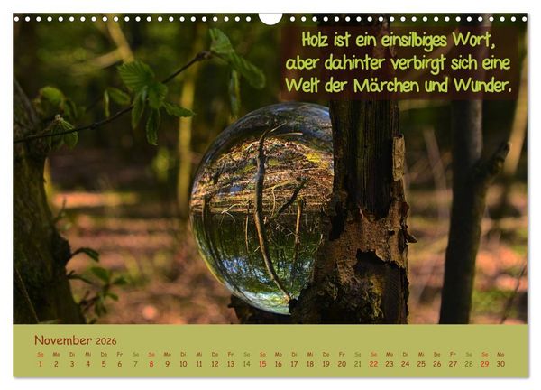 Produktbild: Wunderbare Waldkugeln (Wandkalender 2026 DIN A3 quer), CALVENDO Monatskalender