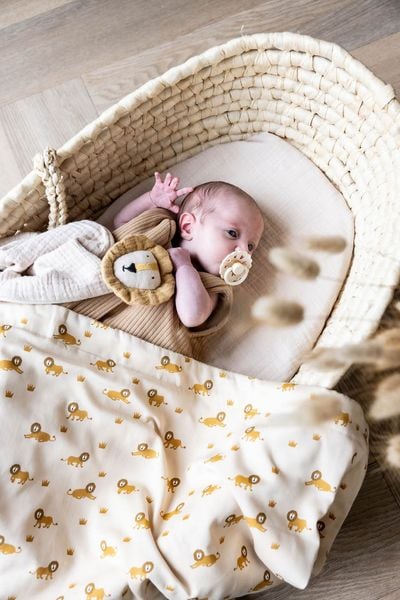 Produktbild: Schmusetuch - Bliss Beige - Mr. Lion