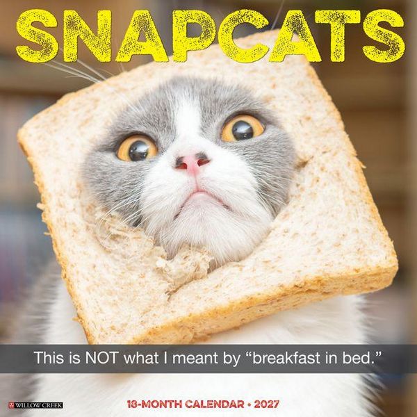 Produktbild: Snapcats 2027 12 X 12 Wall Calendar