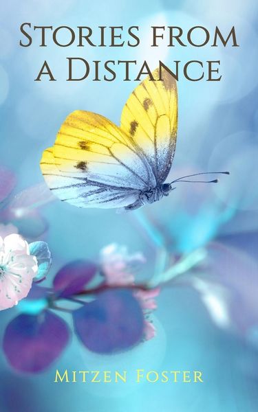 Produktbild: Stories from a Distance