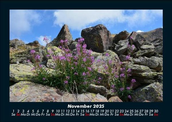 Produktbild: Blumentr&auml;ume 2025 Fotokalender DIN A5