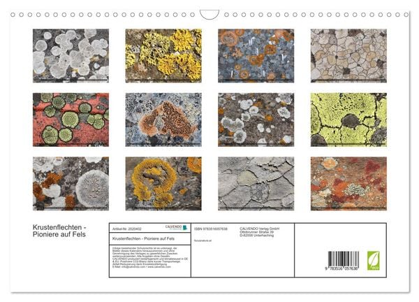 Produktbild: Krustenflechten - Pioniere auf Fels (Wandkalender 2026 DIN A3 quer), CALVENDO Monatskalender