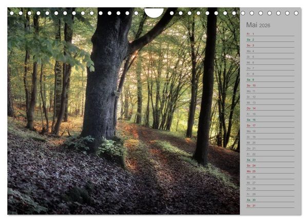 Produktbild: Planungskalender M&auml;rchenwald 2026 (Wandkalender 2026 DIN A4 quer), CALVENDO Monatskalender