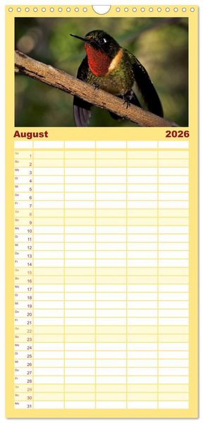 Produktbild: Familienplaner 2026 - Kolibris; Anmut, Sch&ouml;nheit, Farben mit 5 Spalten (Wandkalender, 21 x 45 cm) CALVENDO