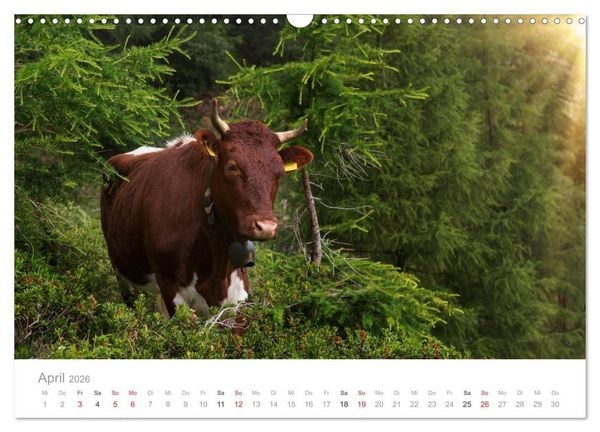 Produktbild: Tiere in Freiheit - Nutztiere auf der Alm (Wandkalender 2026 DIN A3 quer), CALVENDO Monatskalender