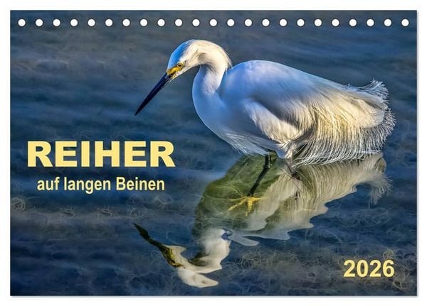 Produktbild: Reiher - auf langen Beinen (Tischkalender 2026 DIN A5 quer), CALVENDO Monatskalender