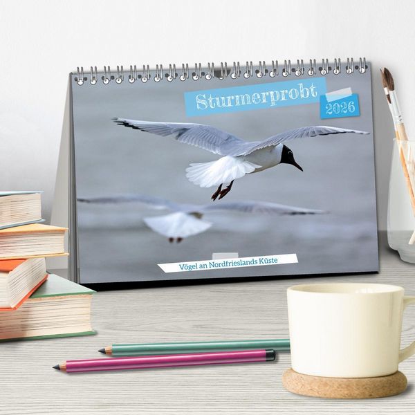 Produktbild: Sturmerprobt - V&ouml;gel an Nordfrieslands K&uuml;ste (Tischkalender 2026 DIN A5 quer), CALVENDO Monatskalender