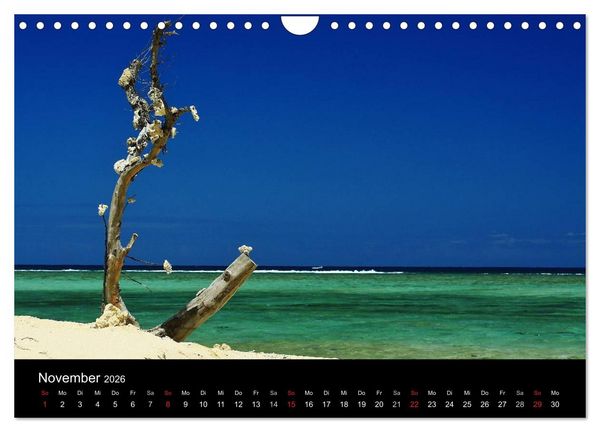 Produktbild: Mauritius - Moments (Wandkalender 2026 DIN A4 quer), CALVENDO Monatskalender