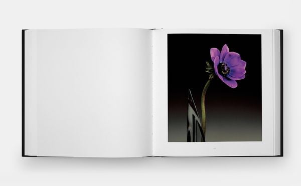 Produktbild: Mapplethorpe Flora: The Complete Flowers (2024)
