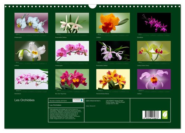 Produktbild: Les Orchid&eacute;es (Calendrier mural 2026 DIN A3 vertical), CALVENDO calendrier mensuel