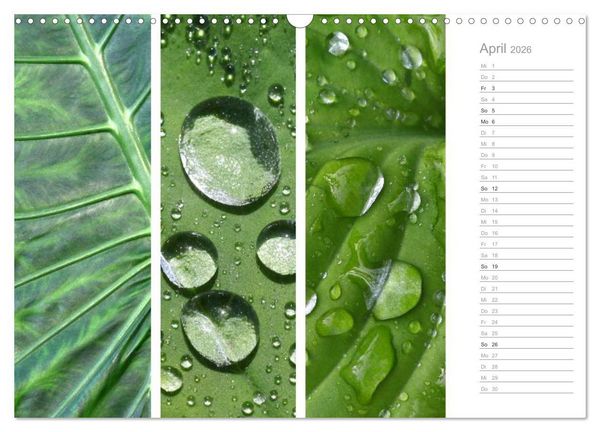 Produktbild: Nat&uuml;rlicher Dreiklang (Wandkalender 2026 DIN A3 quer), CALVENDO Monatskalender