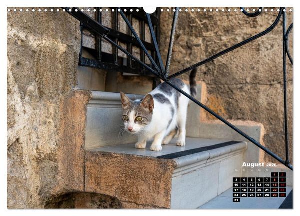 Produktbild: Katzen von Rhodos - Kleine G&ouml;tter auf vier Pfoten (Wandkalender 2026 DIN A3 quer), CALVENDO Monatskalender