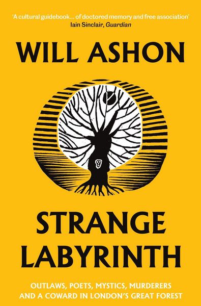Produktbild: Strange Labyrinth