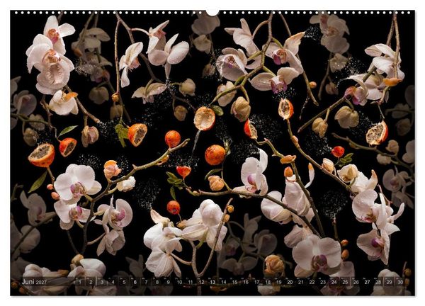 Produktbild: Orchidea (hochwertiger Premium Wandkalender 2027 DIN A2 quer), Kunstdruck in Hochglanz