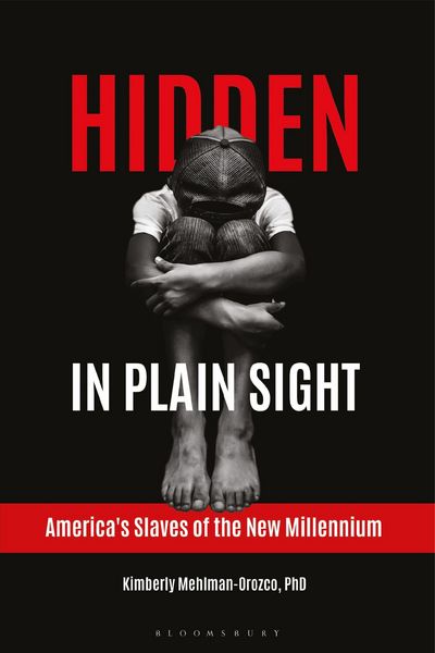 Produktbild: Hidden in Plain Sight