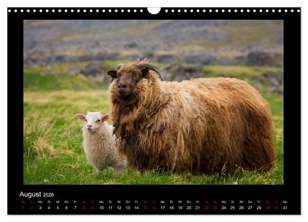 Produktbild: Island - Eine Reise in Bildern (Wandkalender 2026 DIN A3 quer), CALVENDO Monatskalender