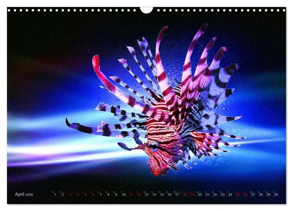 Produktbild: Artwork Unterwasser - Erlebnis Tauchen (Wandkalender 2026 DIN A3 quer), CALVENDO Monatskalender