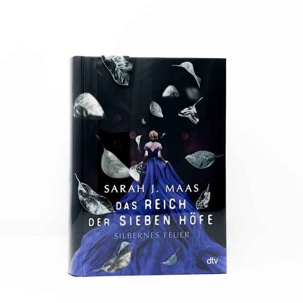 Produktbild: Das Reich der sieben Höfe – Silbernes Feuer