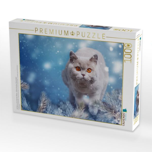 Produktbild: CALVENDO Puzzle Ein Motiv aus dem Kalender Kittens - Britisch Kurzhaar Katzenkinder | 1000 Teile Lege-Gr&ouml;&szlig;e 64x48cm Foto-Puzzle f&uuml;r gl&uuml;ckliche Stunden