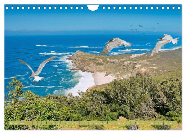 Produktbild: Kapstadt: Leben unterm Tafelberg (Wandkalender 2026 DIN A4 quer), CALVENDO Monatskalender