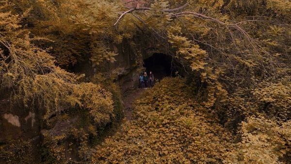 Produktbild: Die Schatzj&auml;ger - Auf der Suche nach dem verw&uuml;nschten Gold