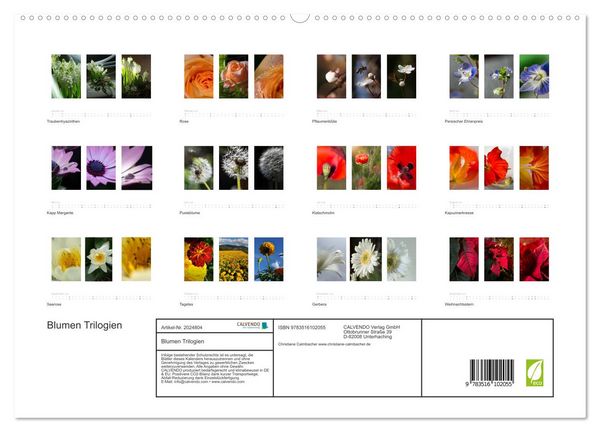 Produktbild: Blumen Trilogien (hochwertiger Premium Wandkalender 2026 DIN A2 quer), Kunstdruck in Hochglanz