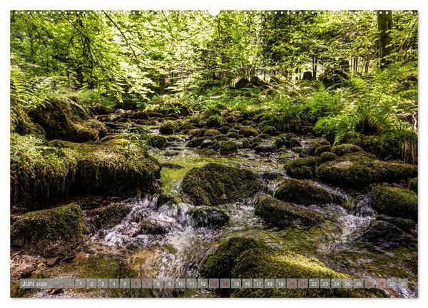 Produktbild: Ein Jahr im Schwarzwald (hochwertiger Premium Wandkalender 2026 DIN A2 quer), Kunstdruck in Hochglanz