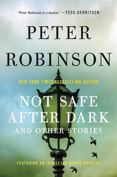 Produktbild: Not Safe After Dark