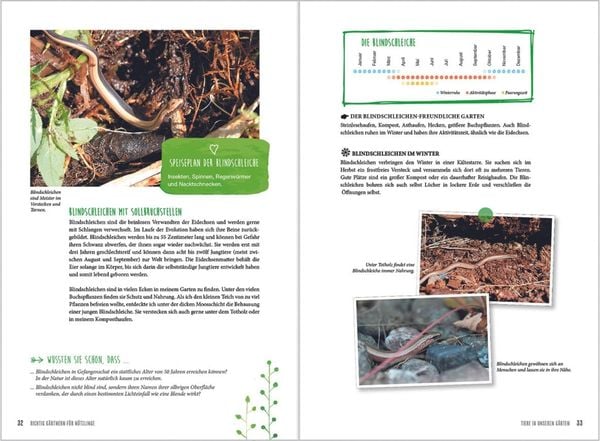 Produktbild: MDR Garten - Richtig g&auml;rtnern f&uuml;r N&uuml;tzlinge