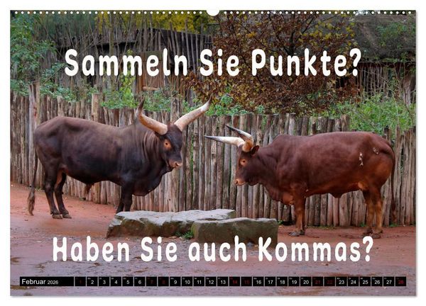 Produktbild: Spruchreif - Gute-Laune-Kalender (hochwertiger Premium Wandkalender 2026 DIN A2 quer), Kunstdruck in Hochglanz