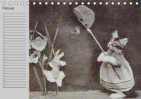 Produktbild: Katzen und Hunde - Nostalgie auf Pfoten (Tischkalender immerw&auml;hrend DIN A5 quer)