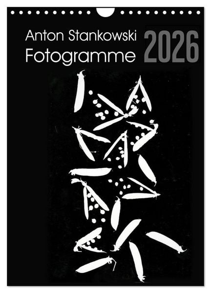 Produktbild: Anton Stankowski Fotogramme (Wandkalender 2026 DIN A4 hoch), CALVENDO Monatskalender