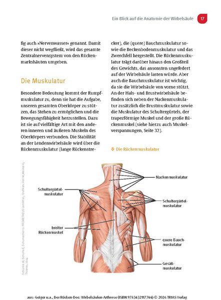 Produktbild: Der R&uuml;cken-Doc: Wirbels&auml;ulen-Arthrose