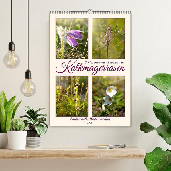 Produktbild: Kalkmagerrasen (Wandkalender 2026 DIN A2 hoch), CALVENDO Monatskalender
