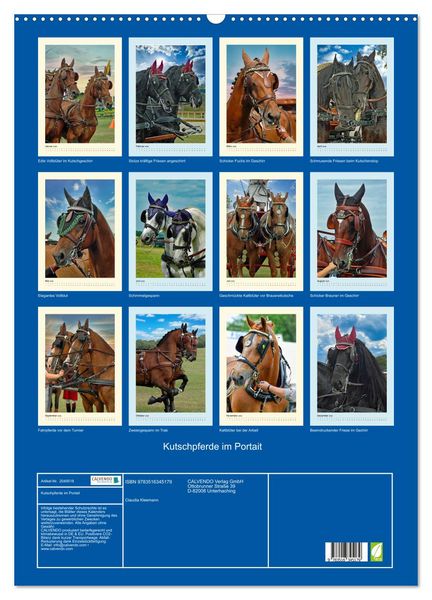 Produktbild: Kutschpferde im Portait (Wandkalender 2026 DIN A2 hoch), CALVENDO Monatskalender