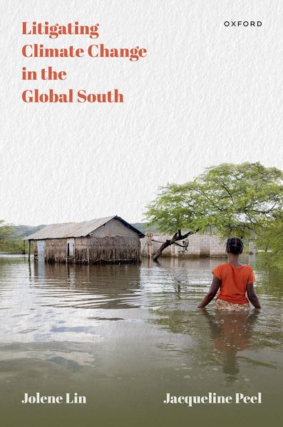Produktbild: Litigating Climate Change in the Global South