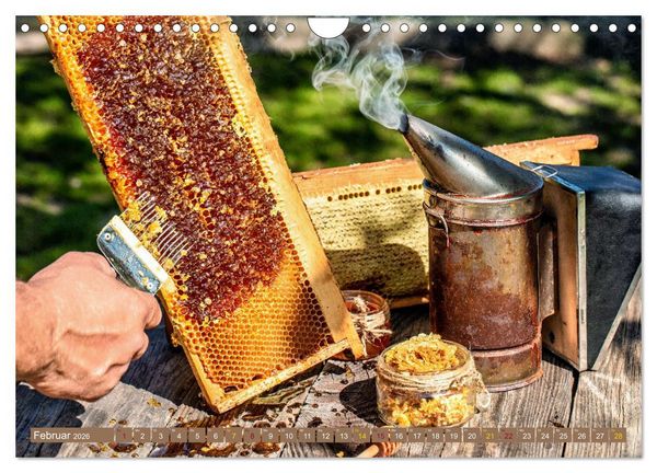 Produktbild: HONIG - fl&uuml;ssiges Gold (Wandkalender 2026 DIN A4 quer), CALVENDO Monatskalender