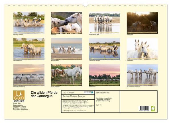 Produktbild: Die wilden Pferde der Camargue (Wandkalender 2026 DIN A2 quer), CALVENDO Monatskalender