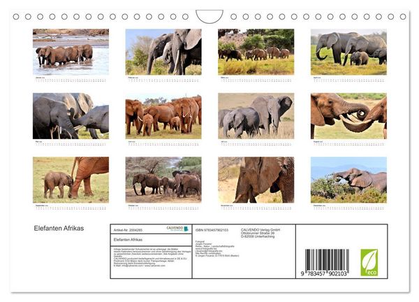 Produktbild: Elefanten Afrikas (Wandkalender 2026 DIN A4 quer), CALVENDO Monatskalender
