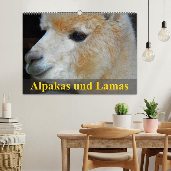 Produktbild: Alpakas und Lamas (Wandkalender 2026 DIN A2 quer), CALVENDO Monatskalender