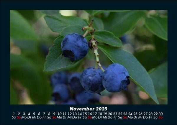 Produktbild: Obstkalender 2025 Fotokalender DIN A5