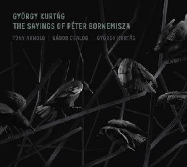 Produktbild: Die Spr&uuml;che des Peter Bornemisza