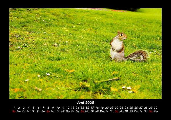 Produktbild: London - Impressionen 2025 Fotokalender DIN A3