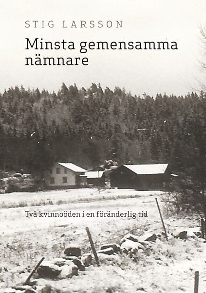 Produktbild: Minsta gemensamma n&auml;mnare