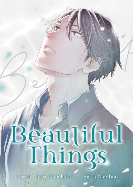 Produktbild: Beautiful Things: The Complete Manga Collection