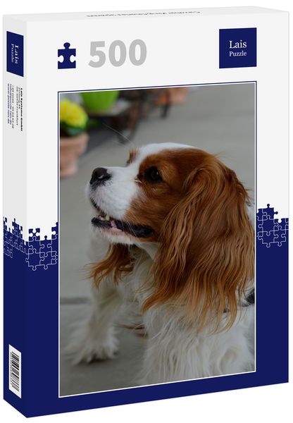 Lais Puzzle Cavalier King Charles Spaniel 500 Teile