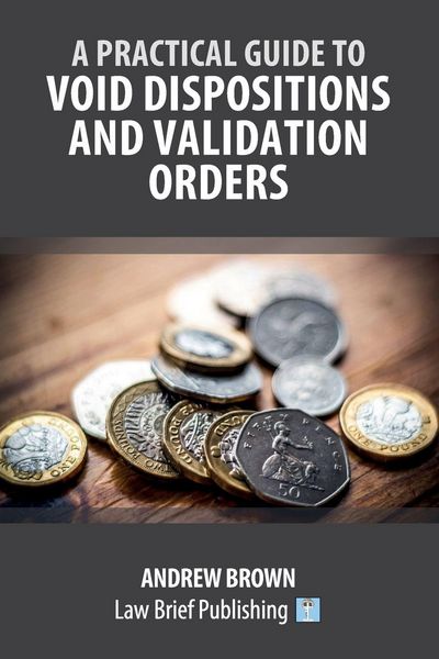 Produktbild: A Practical Guide to Void Dispositions and Validation Orders
