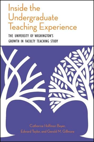 Produktbild: Inside the Undergraduate Teaching Experience